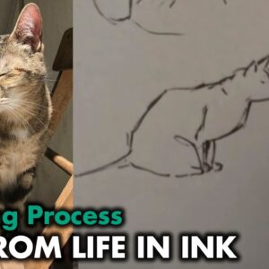 How I Draw My Cat from Life - Drawing Tutorial + Sketchbook Tour