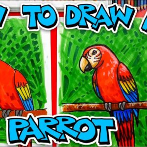 How To Draw A Bird (Parrot) - Advanced