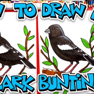 How To Draw A Lark Bunting - Advanced