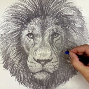 How To Draw a Lion | Sketch Saturday