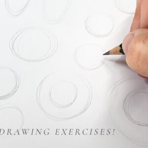 Simple Drawing Exercises for Beginners, How to draw a bird!