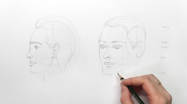 Understanding the Basic Proportions of a Face