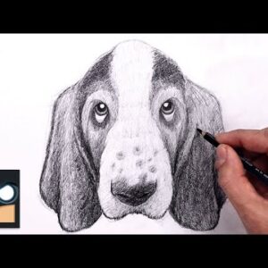 How To Draw a DOG | BASSET HOUND PUPPY | Sketch Sunday