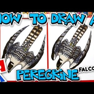 How To Draw A Peregrine Falcon Diving - Advanced