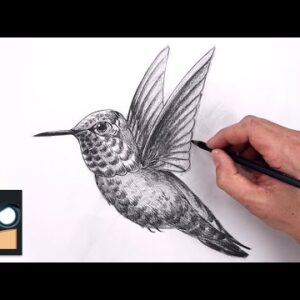 How To Draw a Hummingbird | Sketch Tutorial (Step by Step)