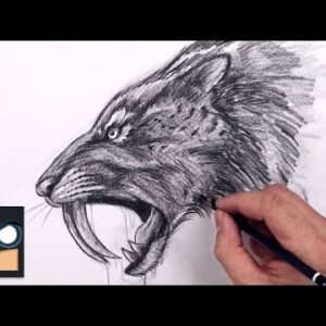 How To Draw Saber Tooth Tiger | Sketch Tutorial (Step by Step)