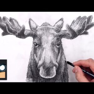 How To Draw a Moose | Sketch Art Lesson (Step by Step)