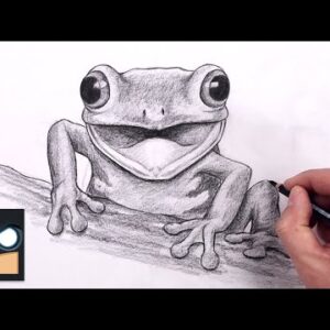How To Draw Tree Frog | Sketch Art Lesson (Step by Step)