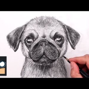 How To Draw a Pug | Sketch Art Lesson (Step by Step)