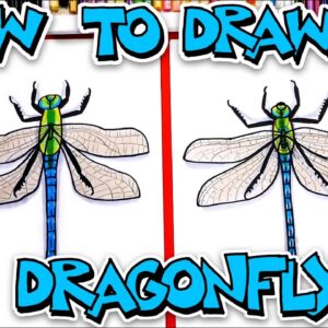 How To Draw A Realistic Dragonfly