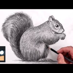 How To Draw a Squirrel 🐿 Sketch Art Lesson (Step by Step)