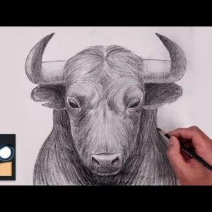 How To Draw a Bull | Sketch Tutorial (Step by Step)