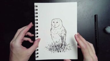 Drawing an Owl with a Brush Pen - Real Time Drawing Sketch Session