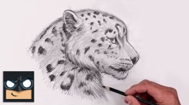 How To Draw Snow Leopard | YouTube Studio Sketch Tutorial