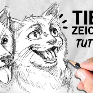Tiere zeichnen lernen | Tutorial | Drawinglikeasir