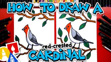 How To Draw A Red-Crested Cardinal
