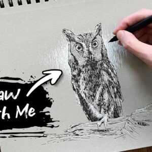 How to Draw an Owl with Pen & Ink - Drawing Tutorial